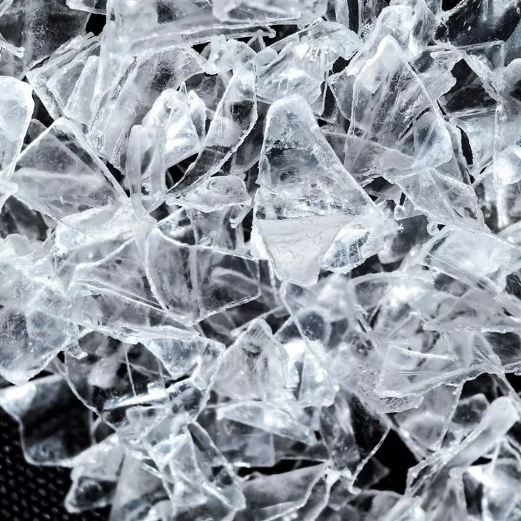 Flocos de rpet e animais de estimação